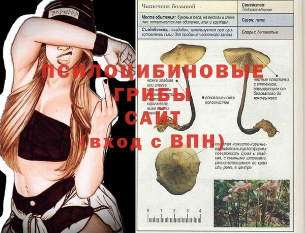 прущая мука Аркадак