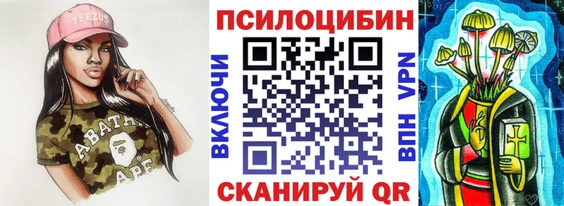 Галлюциногенные грибы Psilocybe  Советск 